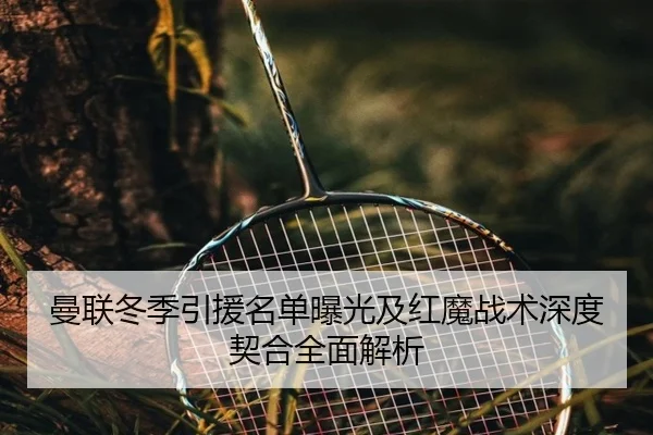曼联冬季引援名单曝光及红魔战术深度契合全面解析